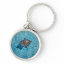 Spotted Eagle Stingray - Ocean
