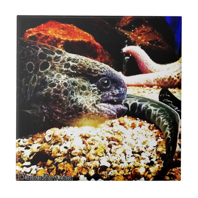 Spotted Eel Tile (Front)