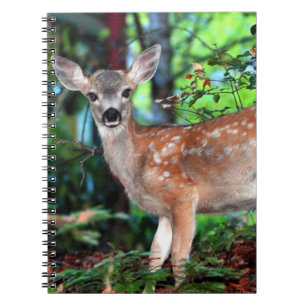 Spotted Fawn Notebook