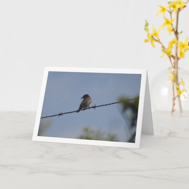 Spotted Flycatcher Bird Card (Yellow Flower)