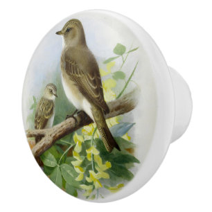Spotted Flycatchers, Art Illustration Ceramic Knob
