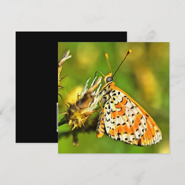 Spotted Fritillary Orange and White Butterfly  Invitation (Front/Back)