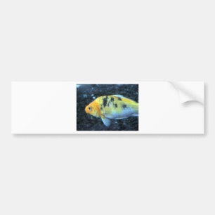 Spotted Goldfish Bumper Sticker