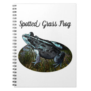 Spotted Grass Frog, Notebook