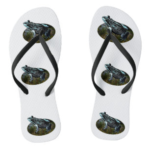 Spotted Grass Frog, Thongs