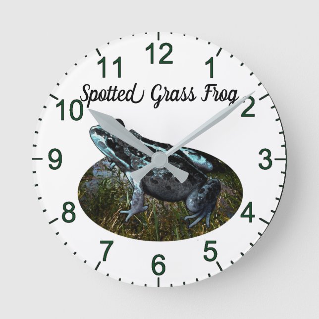 Spotted Grass Frog, Wall Clock (Front)