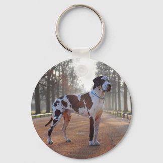 Spotted Great Dane Keychain – Great Dane gift