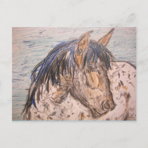 Spotted Horse wild spirit Postcard