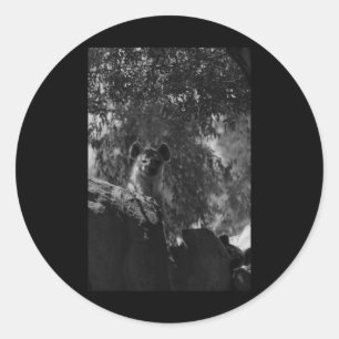 Spotted Hyena Black And White Nature Lovers Valenc Classic Round Sticker