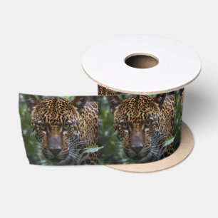 Spotted Jaguar Face Up Close In The Forest, Satin Ribbon