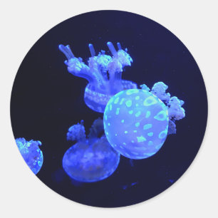 Spotted Lagoon Jelly #1 Stickers
