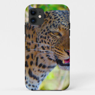 Spotted Leopard iPhone 11 Case