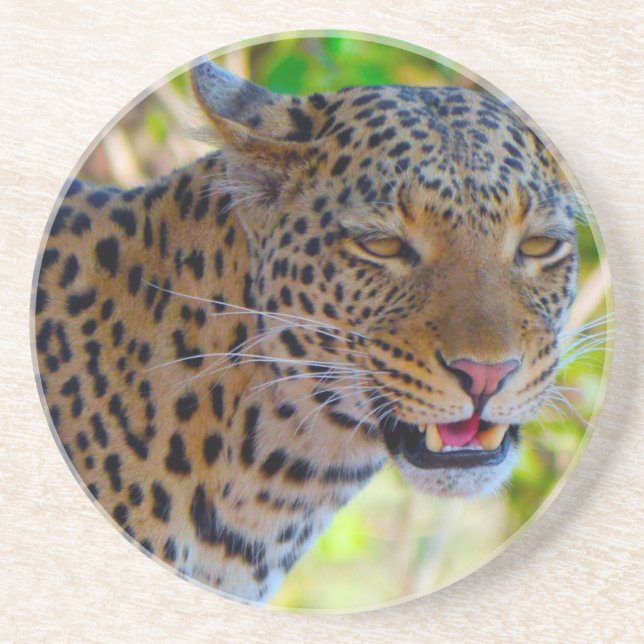 Spotted Leopard Coaster (Front)