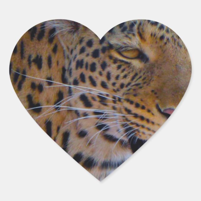 Spotted Leopard Heart Sticker (Front)