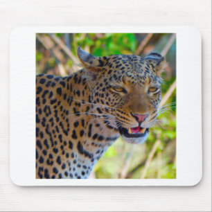 Spotted Leopard Mouse Pad