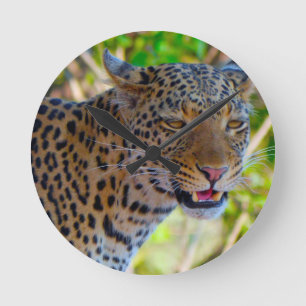 Spotted Leopard Round Clock