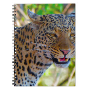 Spotted Leopard Spiral Notebook