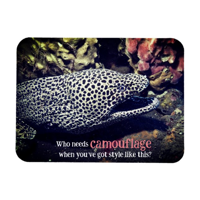 Spotted moray eel underwater magnet (Horizontal)