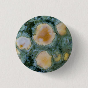 Spotted Ocean Jasper 3 Cm Round Badge