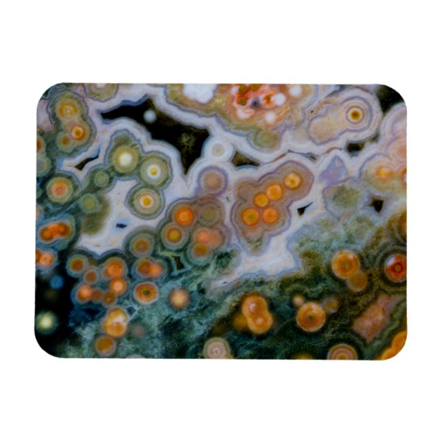 Spotted Ocean Jasper Magnet (Horizontal)
