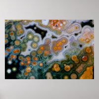 Spotted Ocean Jasper