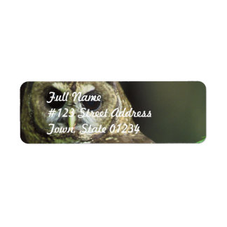 Spotted Owl Mailing Label