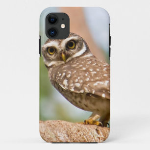 Spotted owl on morning flight. Case-Mate iPhone case