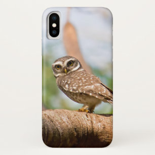 Spotted owl on morning flight. Case-Mate iPhone case