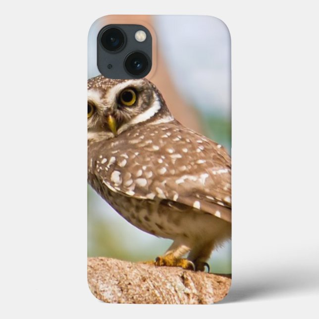 Spotted owl on morning flight. Case-Mate iPhone case (Back)