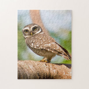 Spotted owl on morning flight. jigsaw puzzle