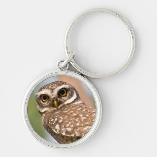 Spotted owl on morning flight. key ring (Front)