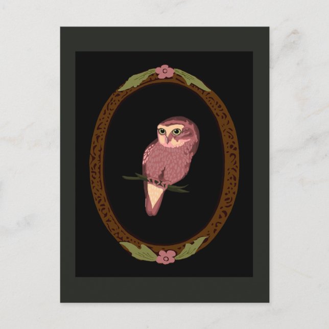 Spotted Owl Postcard (Front)