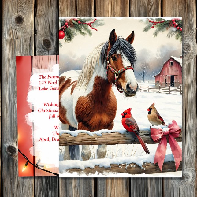 Spotted Pinto Horse and Cardinals Personalised Postcard (Creator Uploaded)
