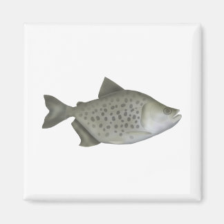 Spotted Piranha Magnet