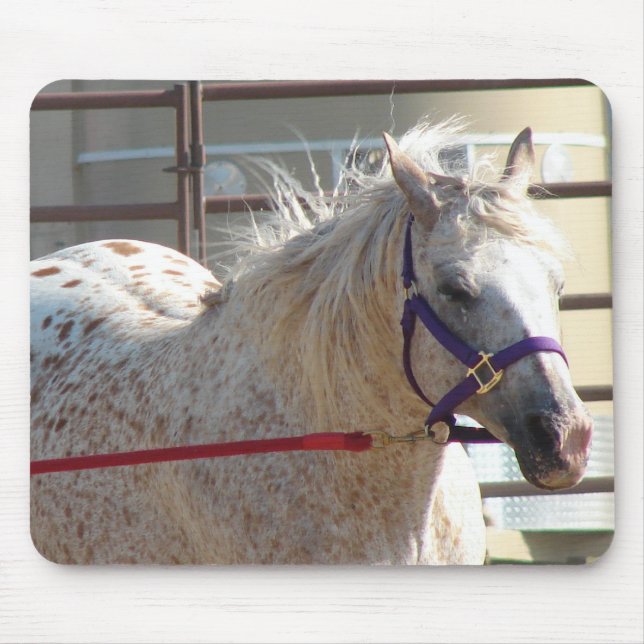 Spotted Pony Mouse Pad (Front)