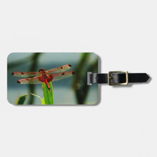 Spotted Red and Black Dragonfly Luggage Tag
