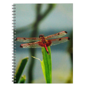 Spotted  Red and Black Dragonfly Spiral Notebook
