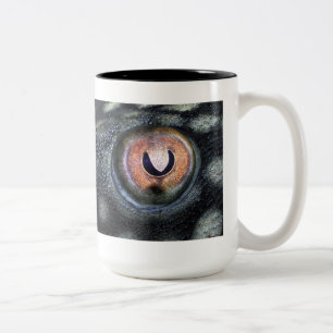 Spotted Royal Preko (Panaque Nigrolineatus) Two-Tone Coffee Mug