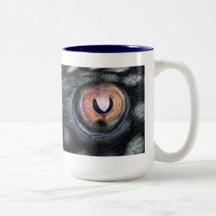 Spotted Royal Preko (Panaque Nigrolineatus) Two-Tone Coffee Mug