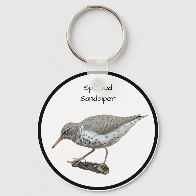 Spotted Sandpiper Key Ring (Front)