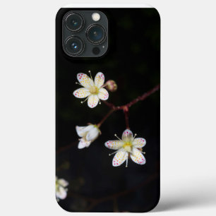 Spotted Saxifrage for phones iPhone 13 Pro Max Case
