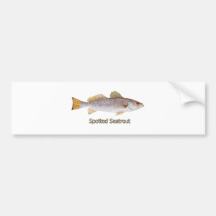 Spotted Seatrout (titled) Bumper Sticker