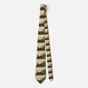 Spotted (Spruce) Grouse Audubon's Birds of America Tie