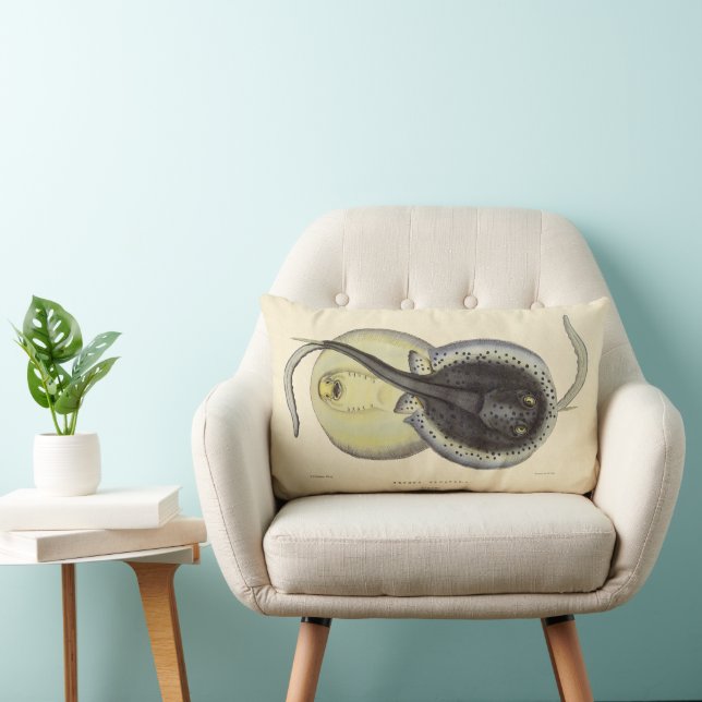 Spotted Stingrays, Vintage Marine Ocean Animals Lumbar Cushion (Chair)