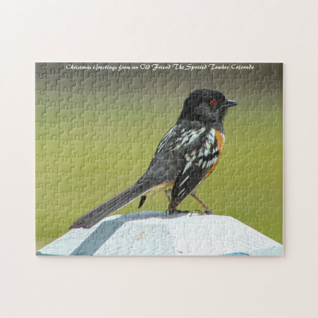 Spotted Towhee Colorado. Christmas Greetings Jigsaw Puzzle (Horizontal)