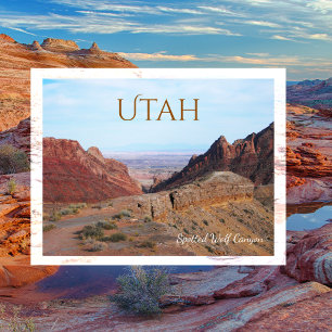 Spotted Wolf Canyon, San Rafael Swell, Utah Postcard