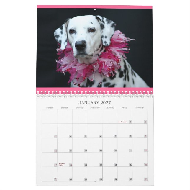 Spotted Wonders Calendar (Jan 2027)