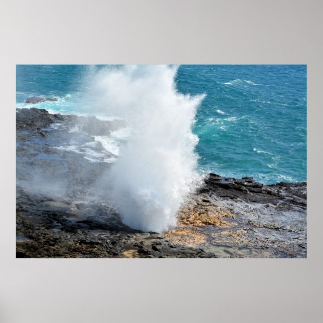 Spouting Horn Poster (Front)