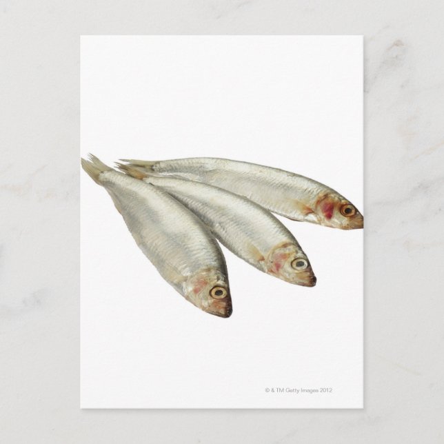 Sprats Postcard (Front)