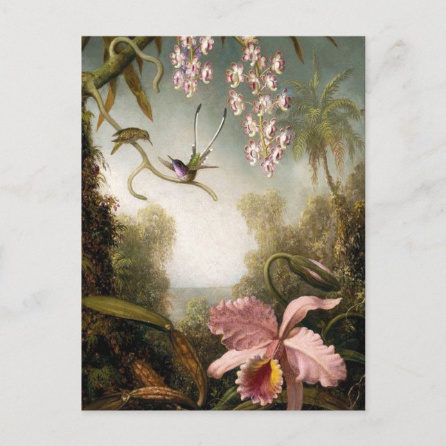 Spray Orchids with Hummingbird Postcard (Front)